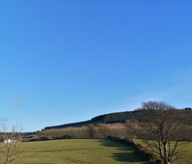 Loughcrew View Bed And Breakfast Kells  Ngoại thất bức ảnh
